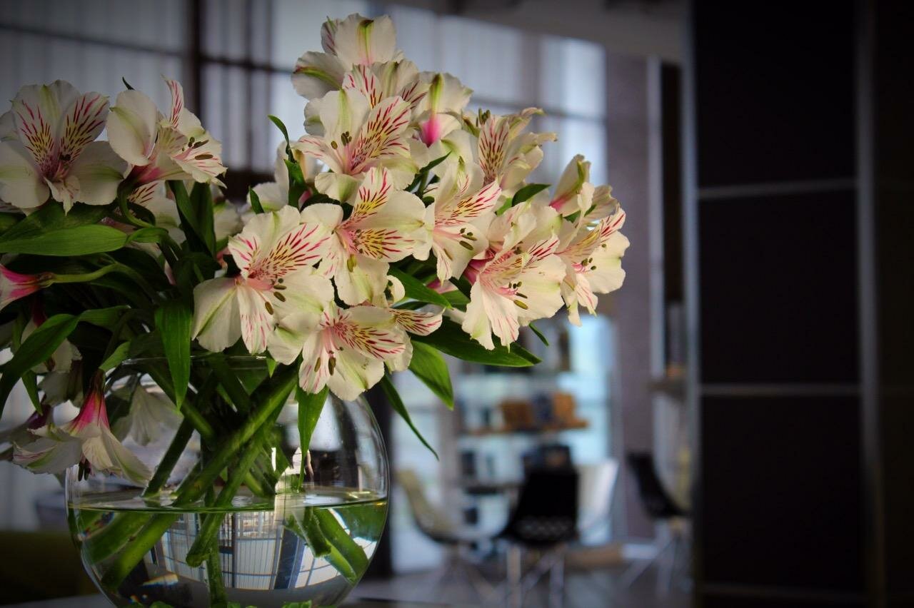 Гостиница Золотой Затон Астрахань-42