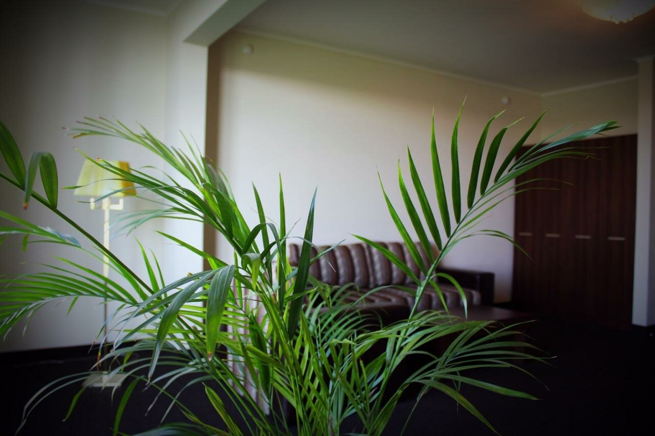 Гостиница Золотой Затон Астрахань-54