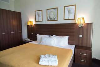 Гостиница Золотой Затон Астрахань Deluxe Room, 1 Double Bed-15