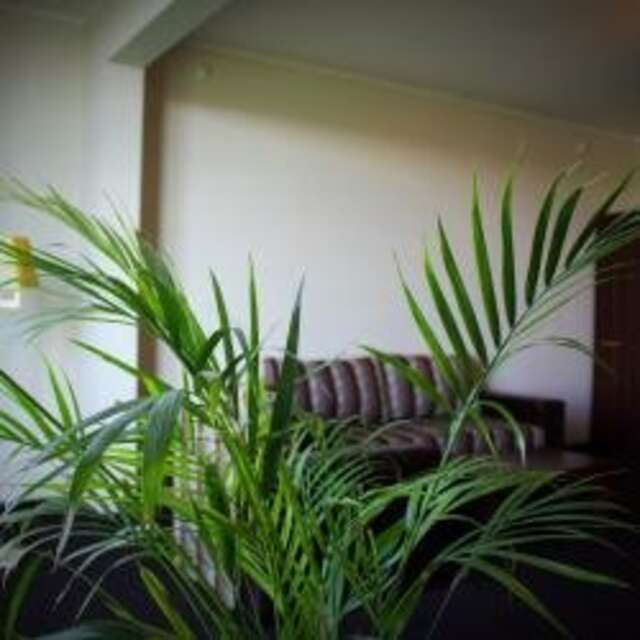 Гостиница Золотой Затон Астрахань-185